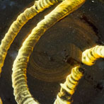 Oxford Ceramics Fair 2015, Dylan Bowen